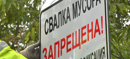 Тренды