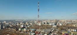 Тренды