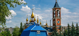 Тренды