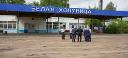 Тренды
