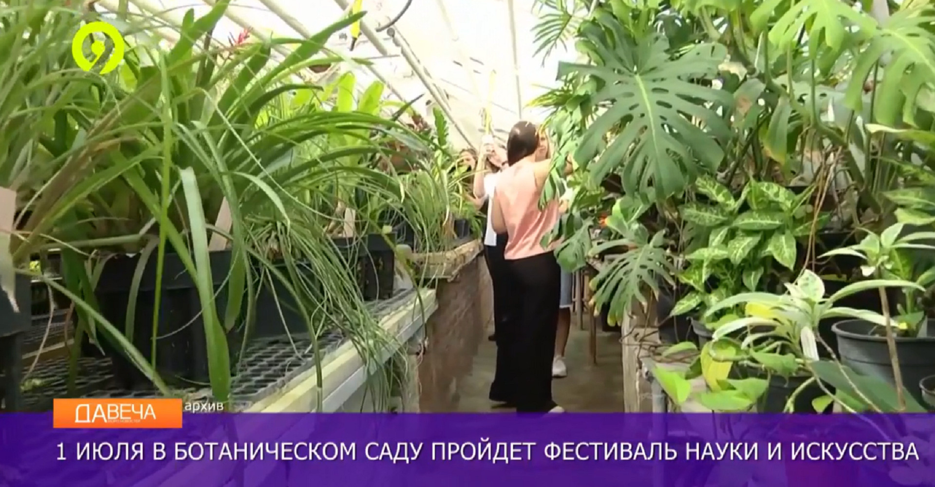 Новость