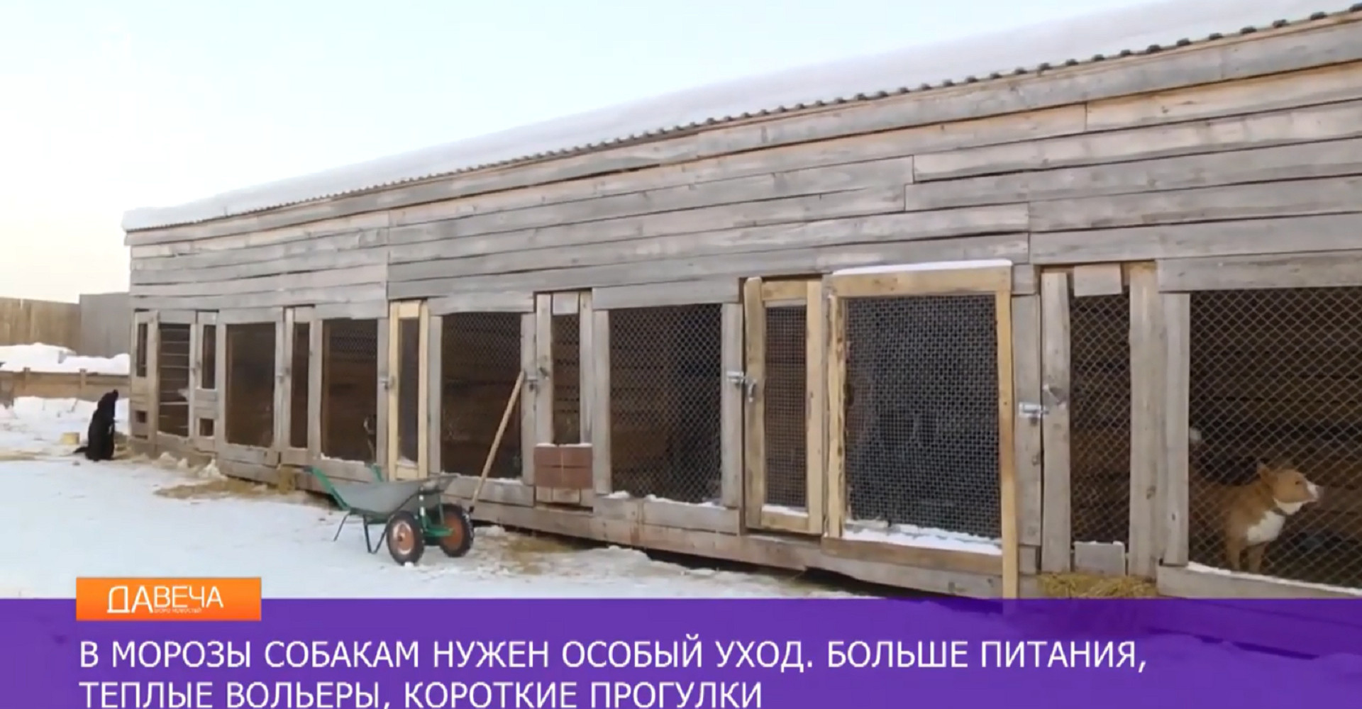 Новость