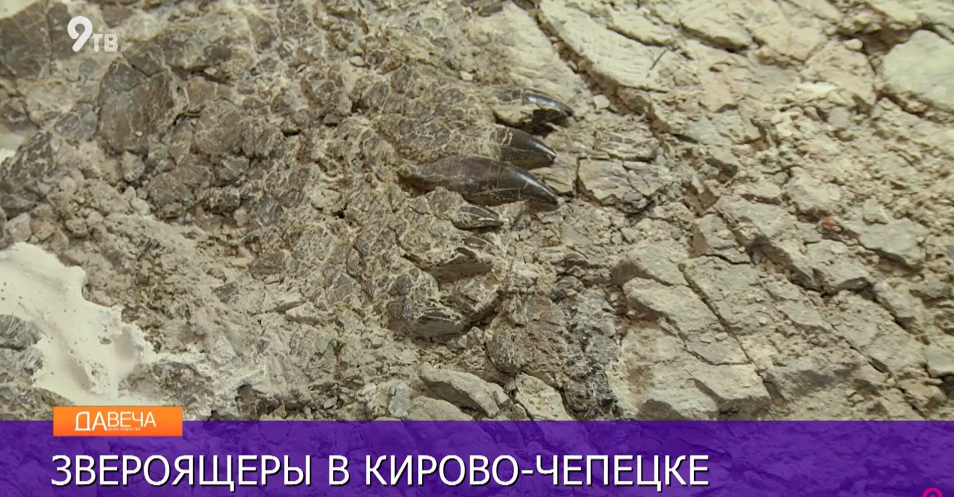 Новость