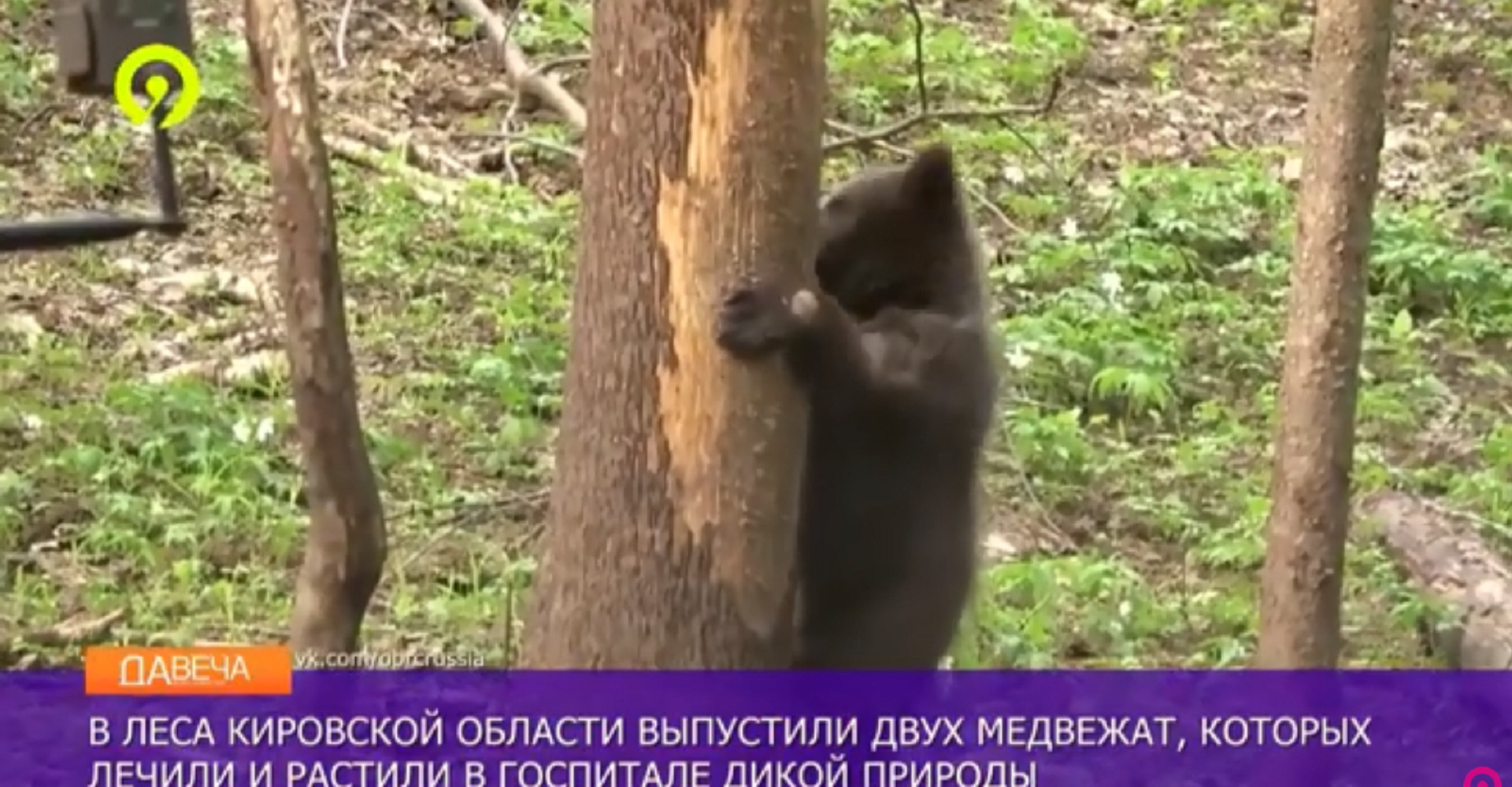 Новость