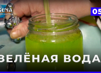 БН Давеча от 05.12.25