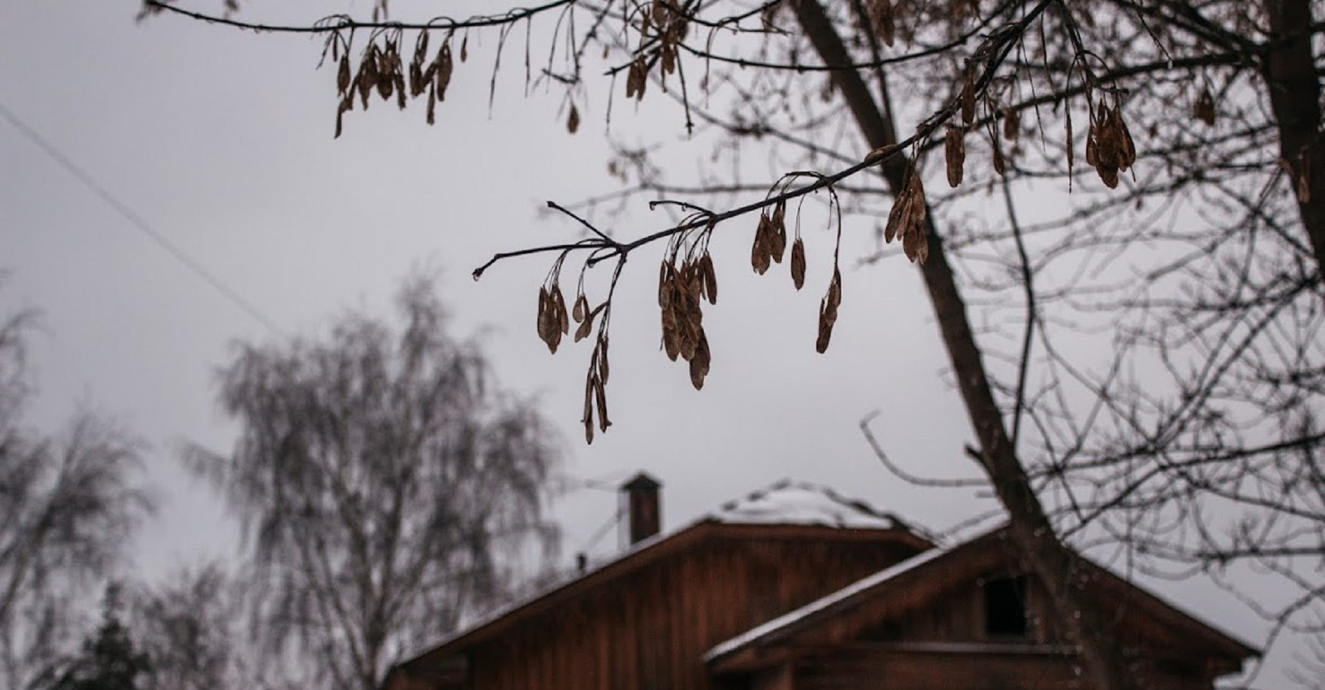Новость