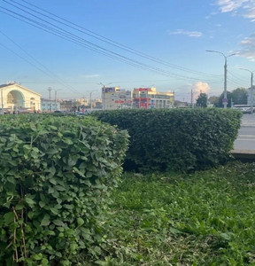 Новость