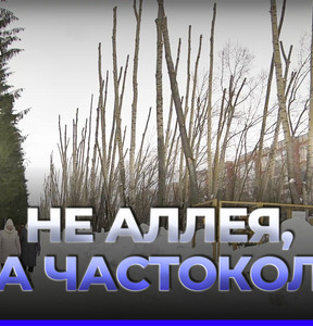 Новость