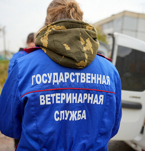 Новость
