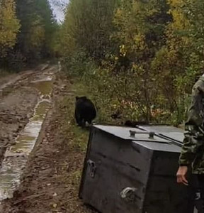Новость