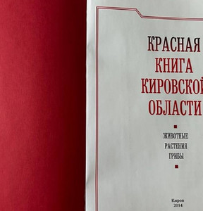 Новость