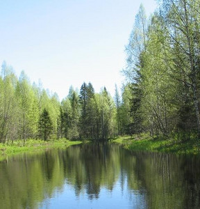 Новость