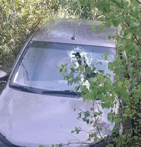 Новость