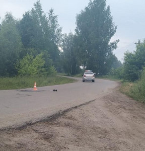 Новость