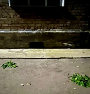 Новость